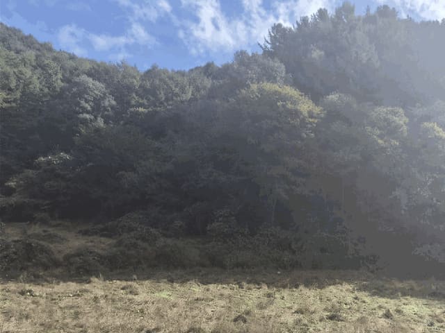 B000270202501300518742.jpg