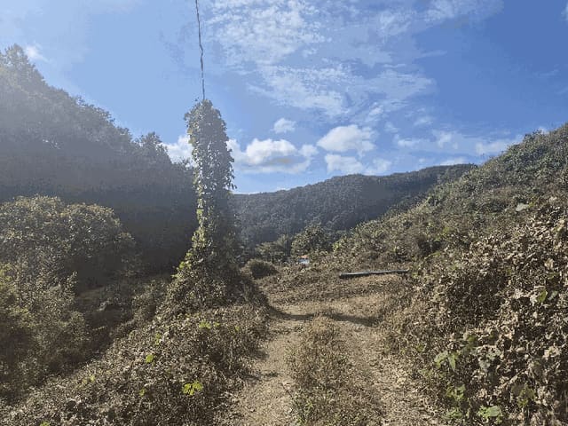 B000270202501300518743.jpg