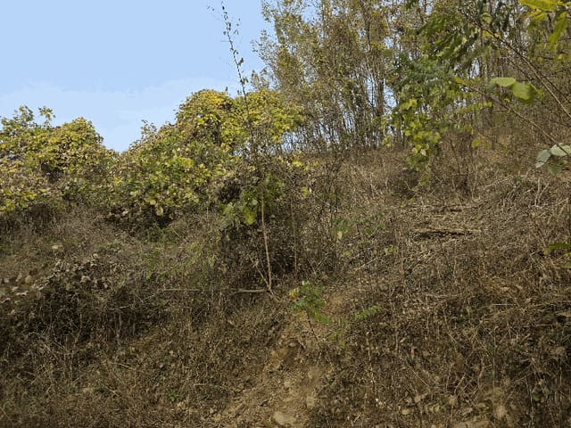B000270202501300518764.jpg