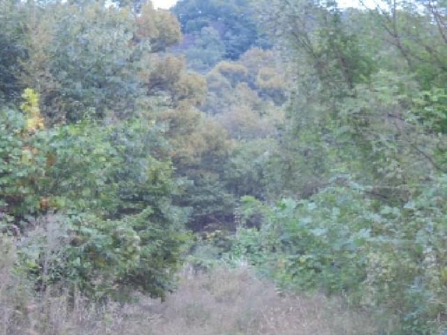 B000270202501300518761.jpg