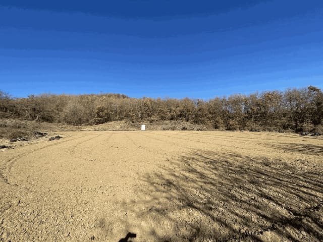 B000270202501300519183.jpg