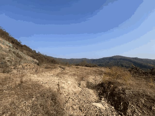 B000270202501300519212.jpg