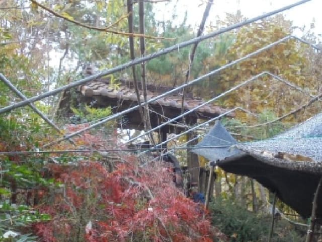 B0002702025013005193718.jpg