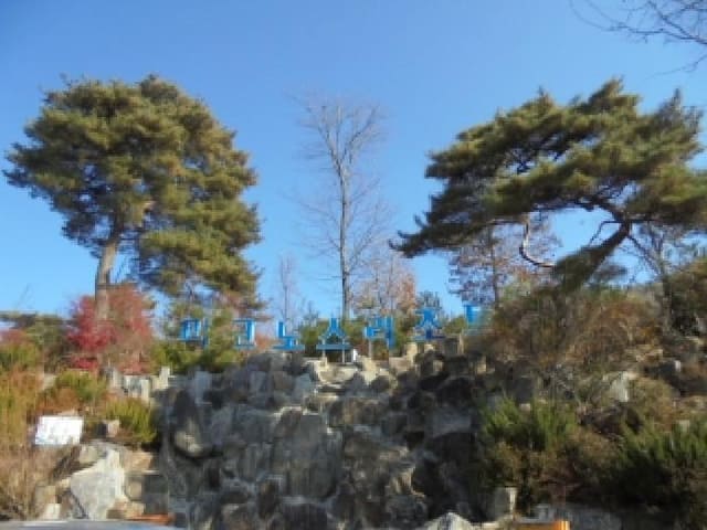 B000270202501300519932.jpg