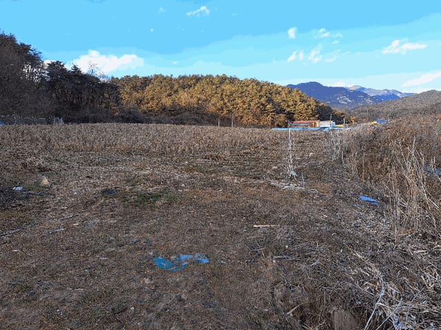 B000270202501300520164.jpg