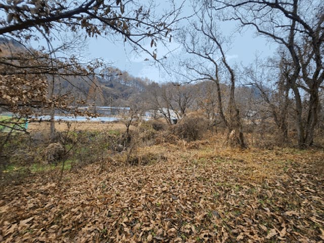 B000270202501300520301.jpg