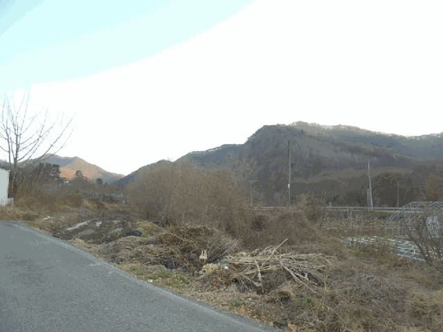 B000270202501300520414.jpg