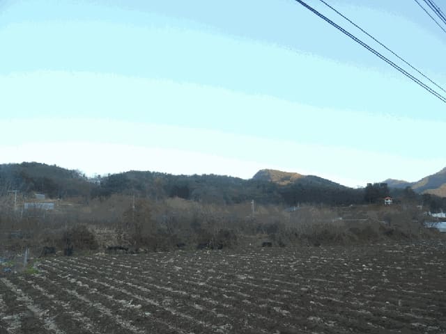 B000270202501300520411.jpg