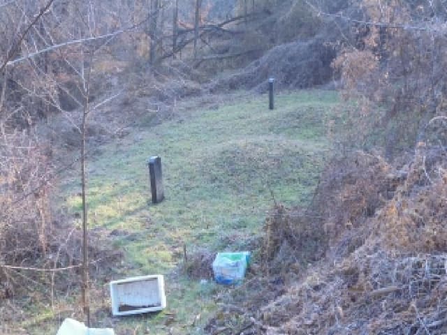B000270202501300520741.jpg