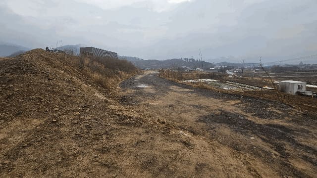 B000270202501300520944.jpg