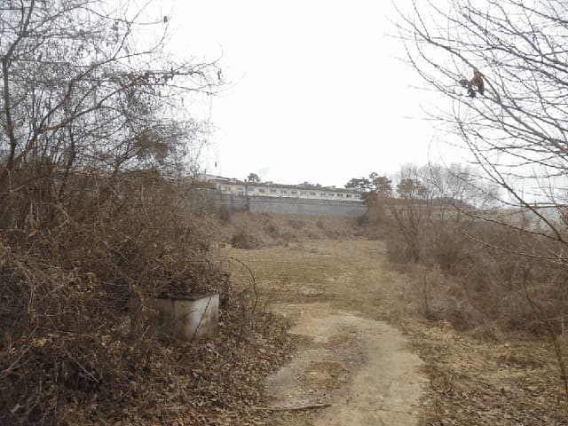 B000270202501300521124.jpg