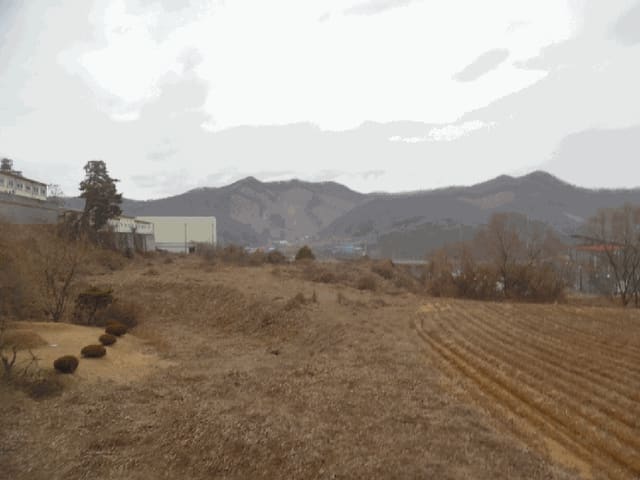 B000270202501300521121.jpg