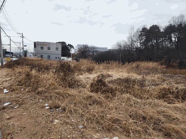 B000270202501300521361.jpg