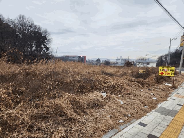 B000270202501300521364.jpg