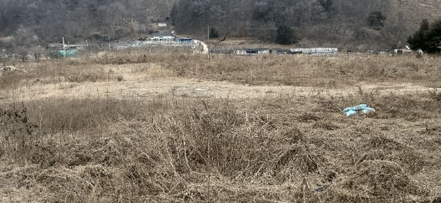 B000270202501300521561.jpg