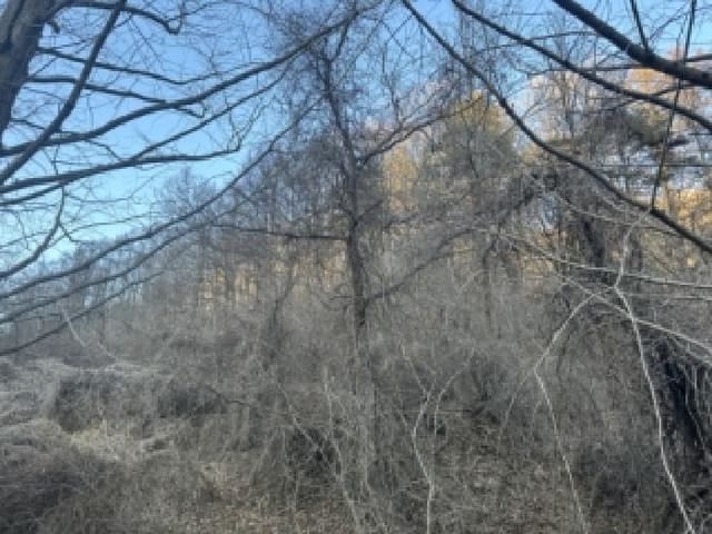 B000270202501300521781.jpg