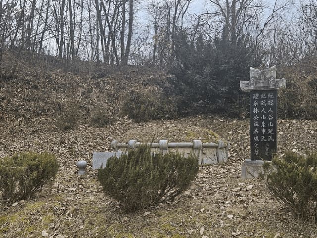 B000270202501300521794.jpg