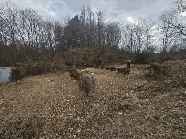 B000270202501300521792.jpg