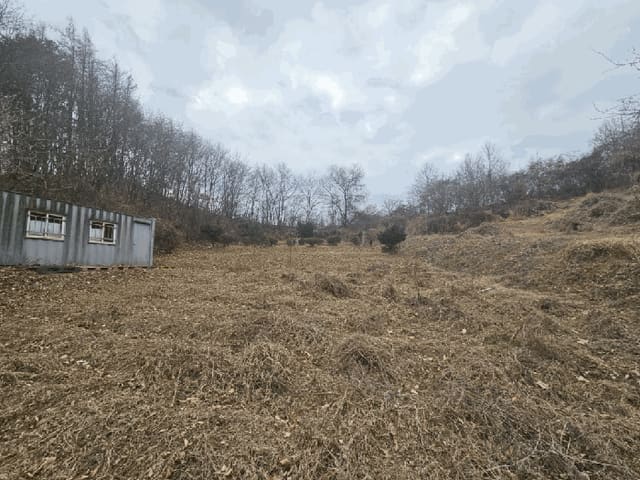 B000270202501300521791.jpg