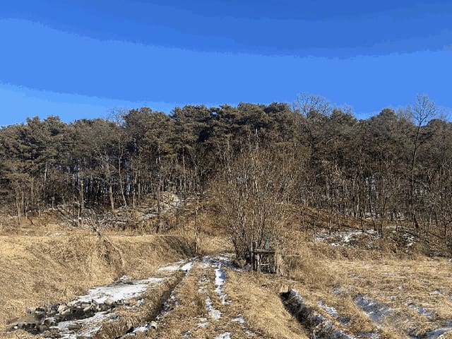 B000270202501300521822.jpg