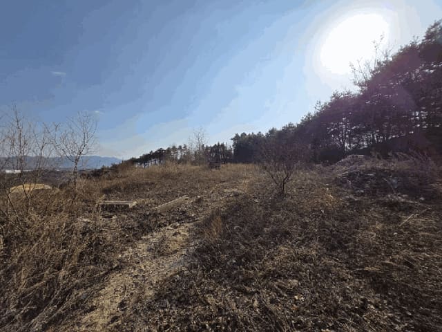 B000270202601300000434.jpg