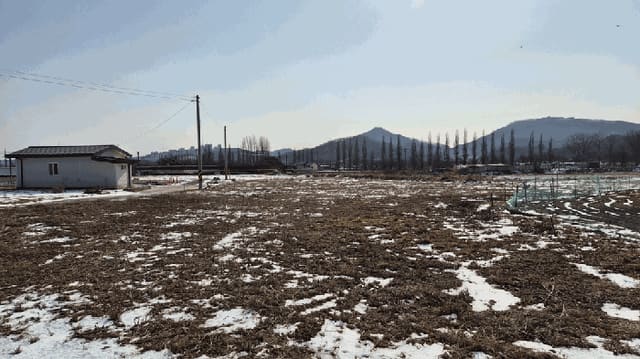B000270202601300500154.jpg