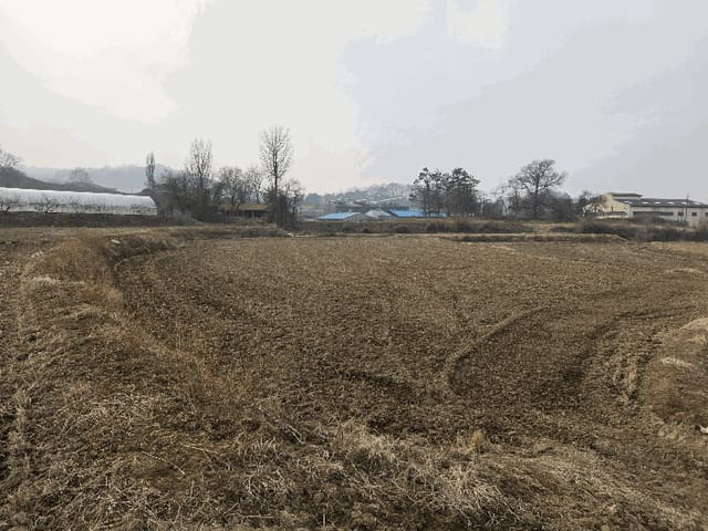 B000270202601300500313.jpg