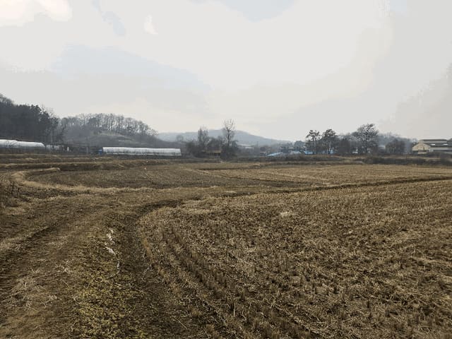 B000270202601300500312.jpg
