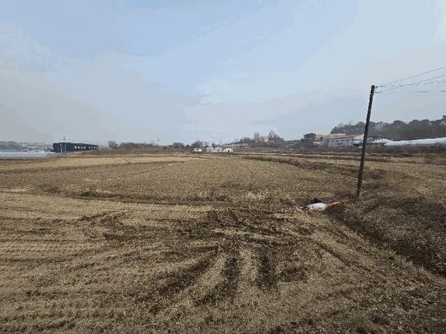 B000270202601300500314.jpg