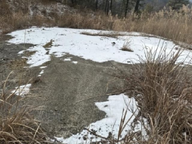 B000270202601300500452.jpg