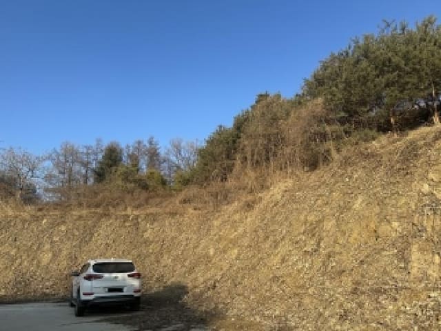 B000270202601300500462.jpg