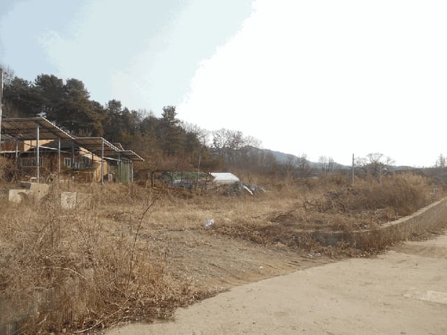 B000270202601300500472.jpg