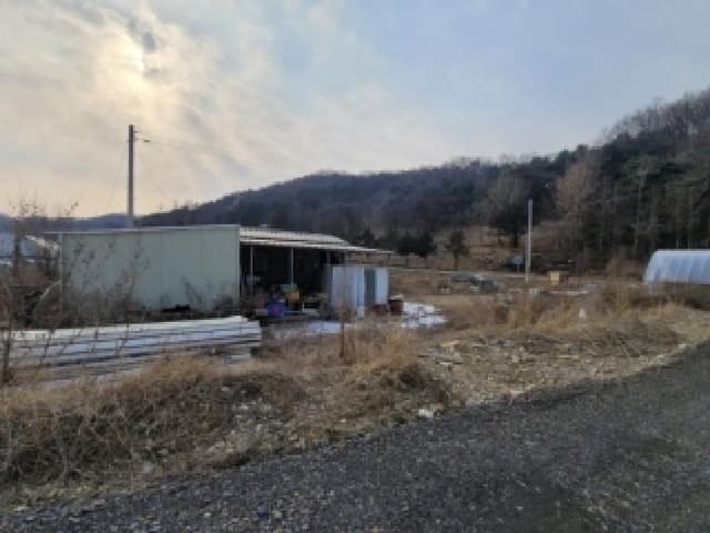 B000270202601300500541.jpg