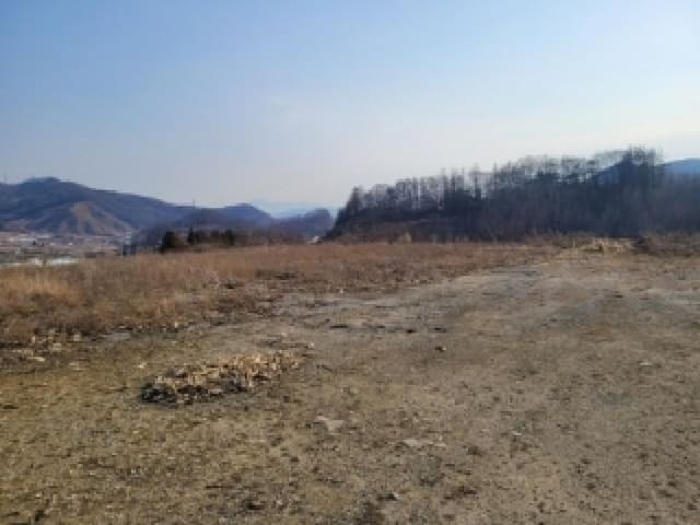 B000270202601300500571.jpg