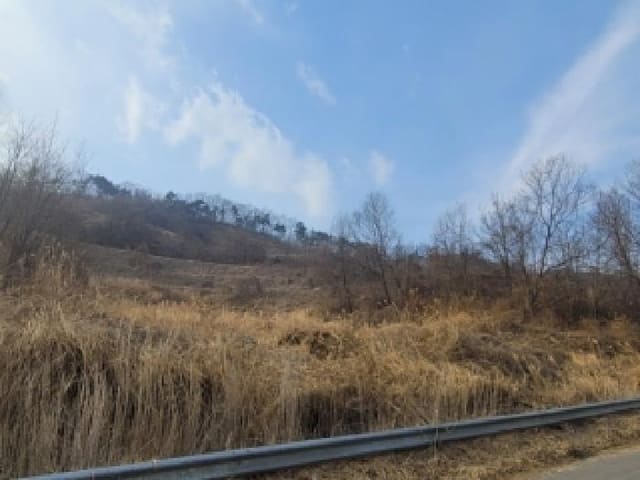 B000270202601300501192.jpg