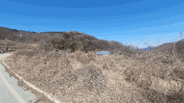 B000270202601300501262.jpg