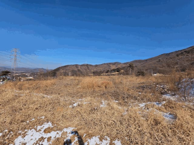 B000270202601300501512.jpg