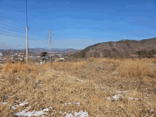 B000270202601300501514.jpg