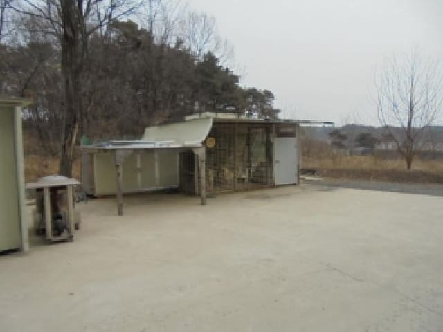 B000270202601300501712.jpg