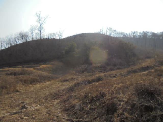 B000270202601300501751.jpg