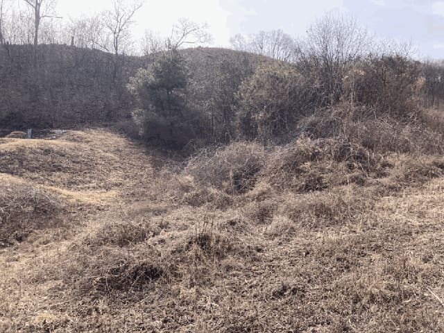 B000270202601300501754.jpg