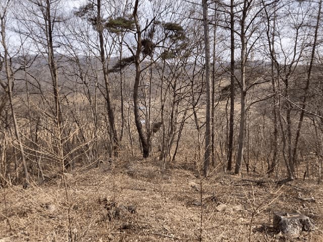B000270202601300501752.jpg