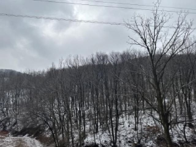 B000270202601300501822.jpg