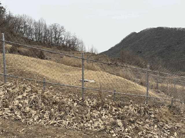 B000270202601300501872.jpg