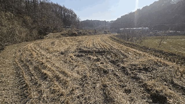 B000270202601300501964.jpg