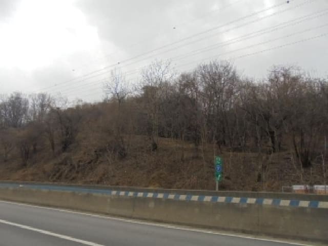 B000270202601300502071.jpg