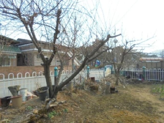 B000270202601300502571.jpg