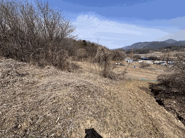 B000270202601300502844.jpg