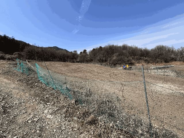 B000270202601300502841.jpg