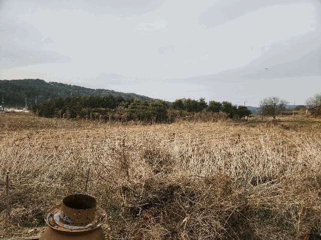 B000270202601300503004.jpg